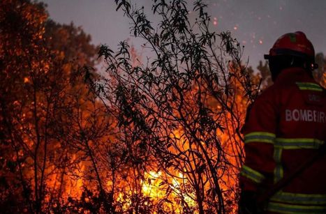 Portugal : plus de mille pompiers mobilisés pour éteindre les incendies - Le Parisien | GREENEYES | Scoop.it