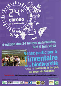 24H chrono de la Biodiversit&eacute; ! | Vari&eacute;t&eacute;s entomologiques | Scoop.it