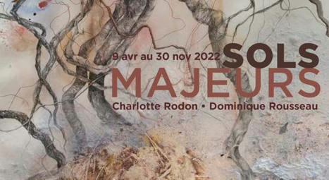 Exposition "Sols Majeurs" | ECHOSCIENCES - Centre-Val de Loire jusqu'au 30 novembre à Bourges (18) | Variétés entomologiques | Scoop.it