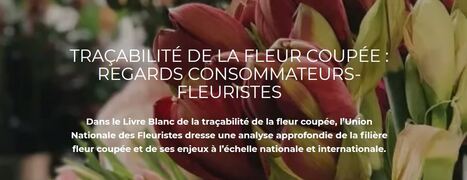 Enquête sur la traçabilité de la fleur coupée | HORTICULTURE | Scoop.it