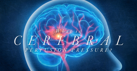 What is Cerebral Perfusion Pressure? | El Paso, TX Chiropractor | Call: 915-850-0900 | Neuropathy "The Painful Enigma" | Scoop.it