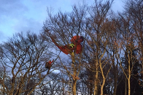 Parapentistes: attention aux bourrasques ... | No limite | Scoop.it