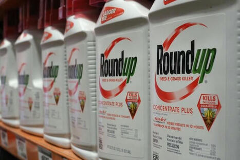 Bayer pourrait arrêter la commercialisation du glyphosate | Planète DDurable | Scoop.it