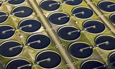 Value from sewage? A new technology cleans up waste water | Stage 4 Water in the World | Scoop.it