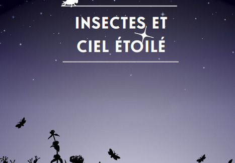 Compter les insectes et les étoiles, et faire avancer la science | Variétés entomologiques | Scoop.it