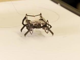Harvard's 'roach-bots' prepare for disasters, war - Video | #Robotics #STEM  | 21st Century Innovative Technologies and Developments as also discoveries, curiosity ( insolite)... | Scoop.it