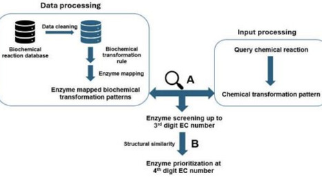 EnzFinder: a sustainable alternative to chemical synthesis | brvbi | RMH | Scoop.it
