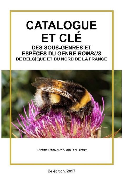 Clé pour l’identification des bourdons de Belgique et du nord de la France | Insect Archive | Scoop.it