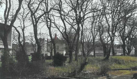 Saumur. Chemin-Vert : la Ville procède à l’abattage d’arbres pour poursuivre la requalification des espaces publics | L'actualité des quartiers politique de la ville de Bretagne et Pays de la Loire | Scoop.it