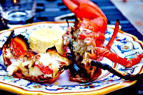 Memorie di Angelina: Astice alla griglia (Grilled Lobster) | La Cucina Italiana - De Italiaanse Keuken - The Italian Kitchen | Scoop.it