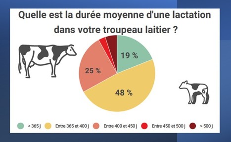 Objectif 150 jours de mois moyen de lactation, ou allongement des lactations ? | Lait de Normandie... et d'ailleurs | Scoop.it