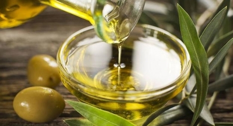 Un nuovo portale Coi per promuovere il binomio olio d'oliva e salute | OLIVE NEWS | Scoop.it