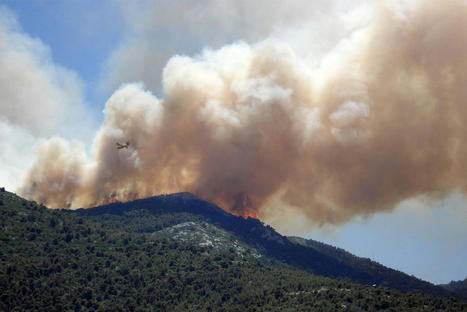 Uncovering innovations in wildfire risk planning and prevention across the MEDITERRANEAN | CIHEAM Press Review | Scoop.it