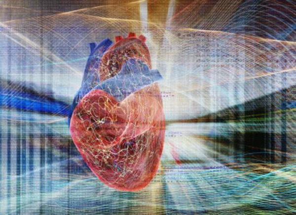 Common Imaging Test Uses AI to Help Identify Heart Valve Disease | Transcatheter Treatment of Mitral Regurgitation | Scoop.it