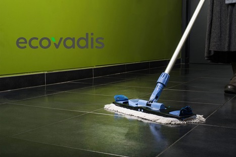 Ecovadis : le niveau silver pour le groupe en 2019 | Témoignages Clients EcoVadis | Scoop.it