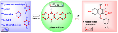 Du carbone 13 pour étudier le métabolisme d’une molécule antipaludique | EntomoNews | Scoop.it