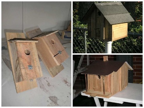 Pallet Upcycled Into Birdhouses | 1001 Pallets ideas ! | Scoop.it