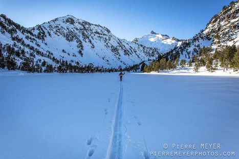 L'hiver dans le Néouvielle - Pierre Meyer | Vallées d'Aure & Louron - Pyrénées | Scoop.it