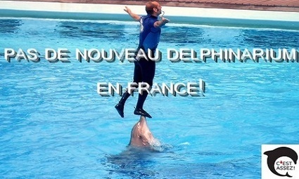 Pétition: Pas de nouveau delphinarium en France! | 16s3d: Bestioles, opinions & pétitions | Scoop.it