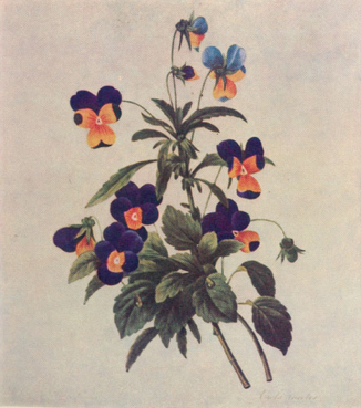 Empathy, or, seeing from within - empathy in anthropology | Empathy Movement Magazine | Scoop.it