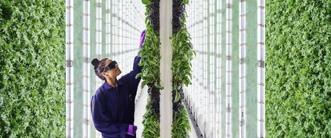Plenty: le futur de l'agriculture est-il une arnaque &agrave; 200 millions? | INNOVATIONS | Scoop.it