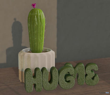 Hug Me Cactus Decoration April 2024 Gift by JT SHOP | Teleport Hub - Second Life Freebies | Second Life Freebies | Scoop.it