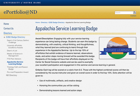 Pairing e-portfolios with badges to document informal learning -- Campus Technology | Moodle and Web 2.0 | Scoop.it