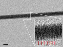DNA directly imaged with electron microscope for the first time | Amazing Science | Scoop.it