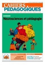 Neurosciences et pédagogie | #TRIC para los de LETRAS | Scoop.it