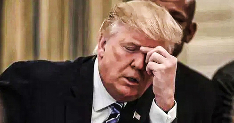Trump Accused Of Negligent Homicide Over Unsafe Rally Conditions - Trofire.com | Operation Deimos | Scoop.it