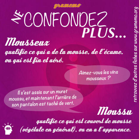 Mousseux ou moussu : ne les confondez pas !  | FLE CÔTÉ COURS | Scoop.it