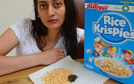 Horrified teenager ‘finds dead bat in her box of Rice Krispies’  | Episode 5: Extra News | Scoop.it