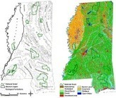 Revisiting the forest transition theory with historical records and geospatial data: A case study from Mississippi (USA) | Ecosystèmes Tropicaux | Scoop.it