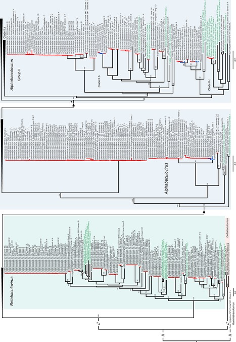 Biodiversity, Evolution and Ecological Specialization of Baculoviruses: A Treasure Trove for Future Applied Research | Virology News | Scoop.it