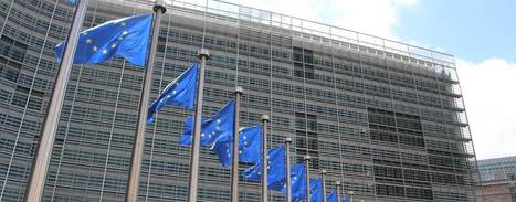 Brussels to Monitor Olive Oil Prices | OLIVE NEWS | Scoop.it