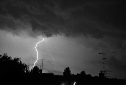 Stephanie Clifford's journey through stormy names | Name News | Scoop.it