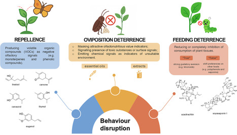 Pest behavioural disruption by plant metabolites: a crop protection challenge | tin | RMH | Scoop.it