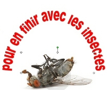 Pour en finir avec les insectes | Insect Archive | Scoop.it