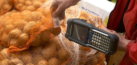 Les GMS plus touchées par la baisse des achats  de pommes de terre | Pommes de terre transformées | Scoop.it