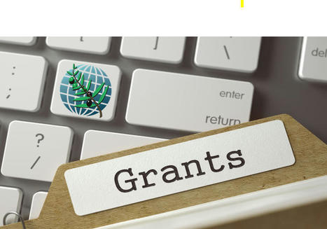 International Olive Council GRANTS. 2ND CALL | CIHEAM Press Review | Scoop.it