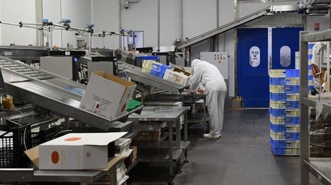Coronavirus: de nouveaux cas de contamination dans un autre abattoir en Vendée | La Gazette des abattoirs | Scoop.it
