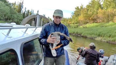 Ven&auml;l&auml;inen ornitologi teki pikkulahjoituksen &ndash; tuomittiin 3,5 vuodeksi vankeuteen | A1Uutiset | Scoop.it