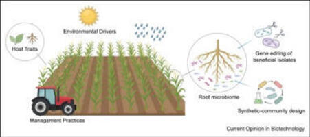 Plant microbiome regulation for sustainable agr...