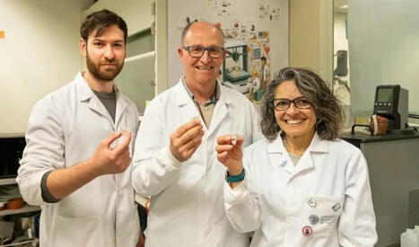 Des bonbons imprimés en 3D pour lutter contre les carences nutritionnelles | Les nouvelles cultures de l'alimentaire | Scoop.it
