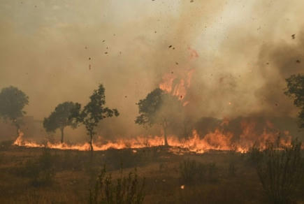 Feux de forêt en 2022: record de surfaces brûlées et d'émissions de carbone en Europe | Toxique, soyons vigilant ! | Scoop.it