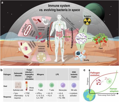 Challenges for the human immune system after leaving Earth | Healthcare: reloaded... | Scoop.it