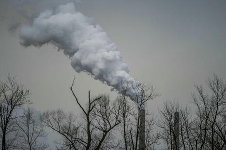 Climat : la baisse des émissions de gaz à effet de serre en France a perdu son élan en 2024 (-1,8%), selon l'organisme Citepa | Biodiversité | Scoop.it