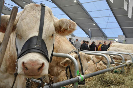 Sommet de l’Elevage 2022 : pour que dure l’élevage à taille humaine | Actualité Bétail | Scoop.it