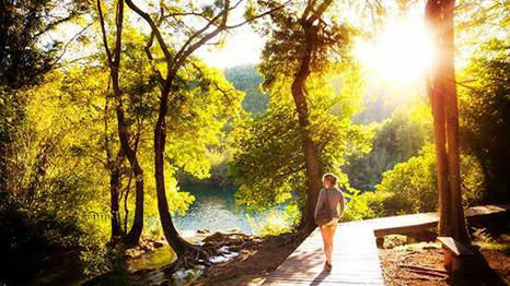 Mayo Clinic Minute: Prescribing nature for mental, physical health - Biophilia | Physical and Mental Health - Exercise, Fitness and Activity | Scoop.it