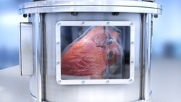 This startup wants to create a 3D-Printed Heart | Technology in Business Today | Scoop.it